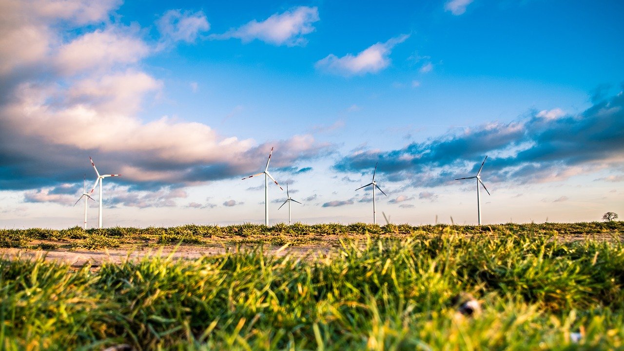 energia eolica